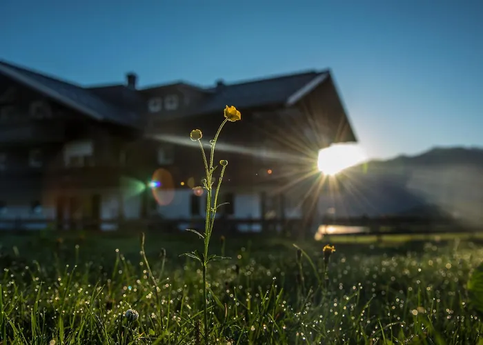 ALPENHAUS Steiner
